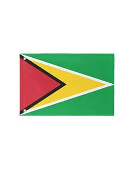 Guyana Flag (5 Sizes)(One Side...