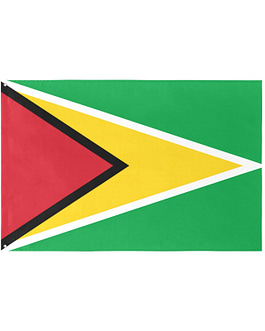 Guyana Flag (5 Sizes)(One Side...