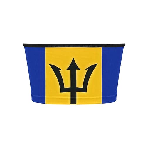 Barbados Flag Bandeau Top
