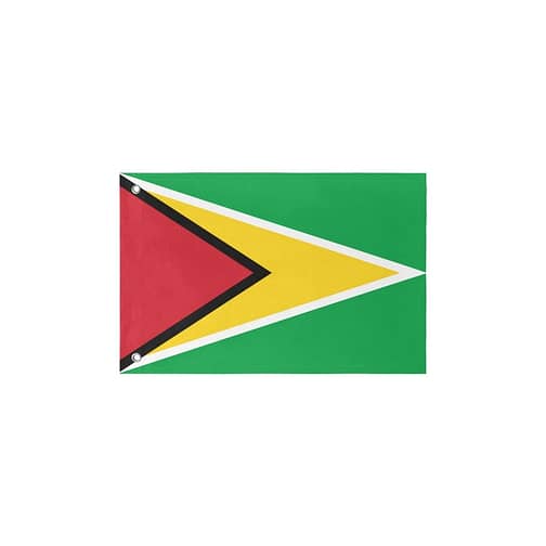 Guyana Flag (5 Sizes)(One Side)