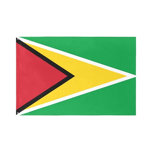 Guyana Flag (5 Sizes)(One Side)